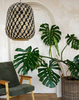 Lampa Wisząca Boho APP1312-1CP