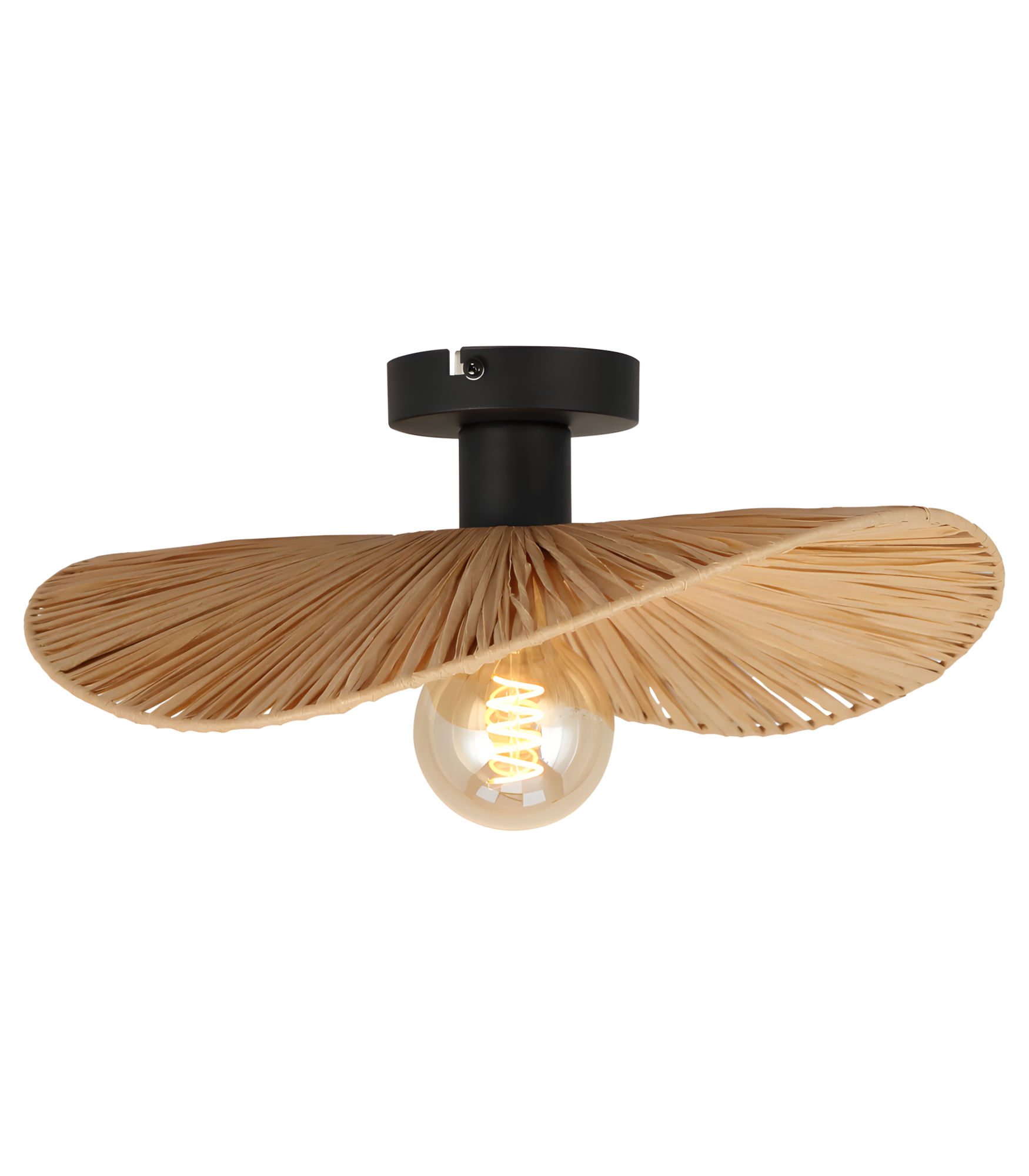 Lampa Sufitowa APP1827-1CP Nature Black  1