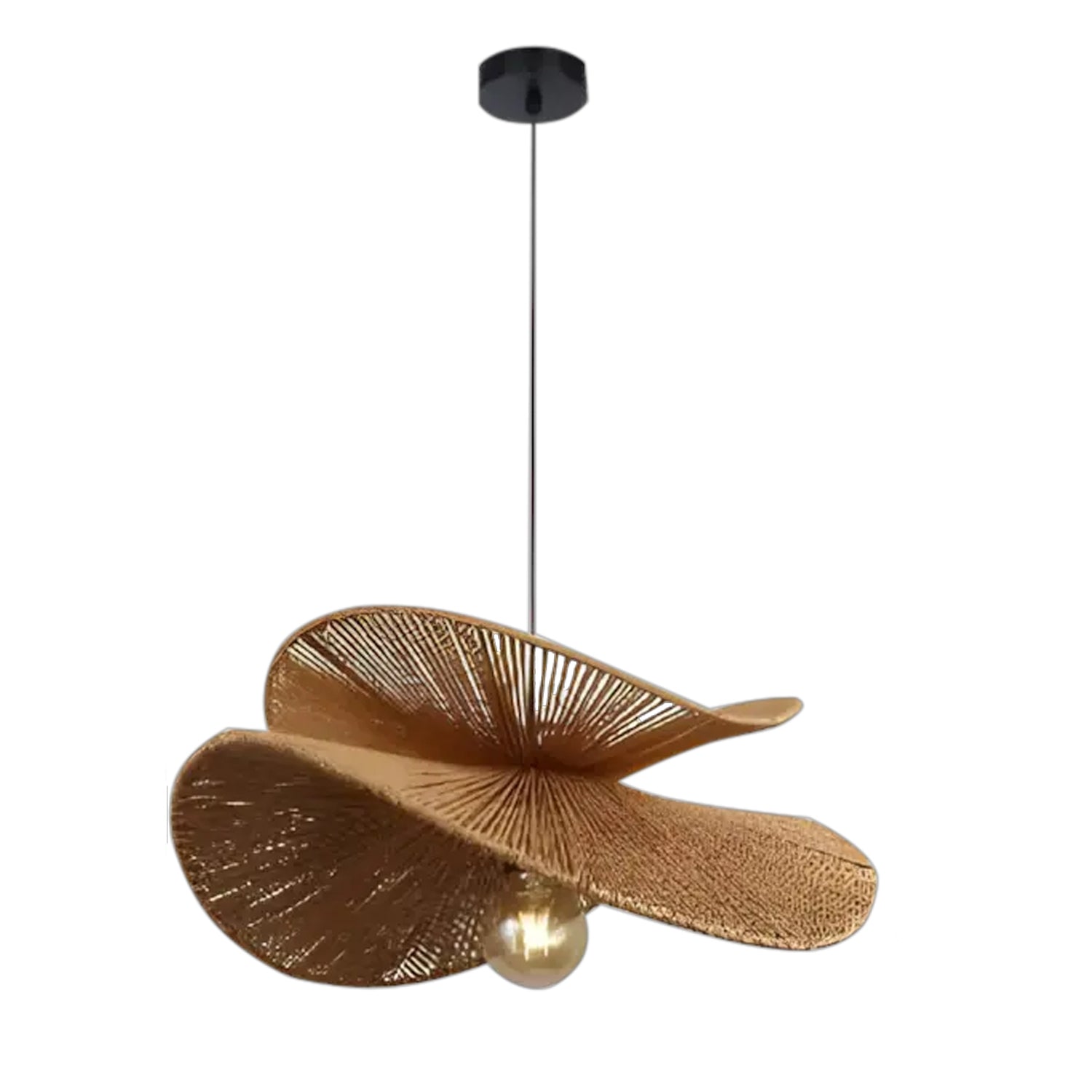 Lampa Sufitowa APP1828-1CP Nature  1