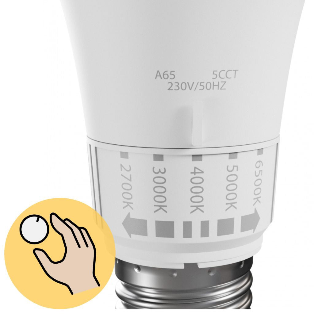Żarówka Led 5 Barw Światła Gls E27 230v 10w 5cct  3
