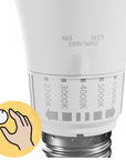 Żarówka Led 5 Barw Światła Gls E27 230v 10w 5cct  3