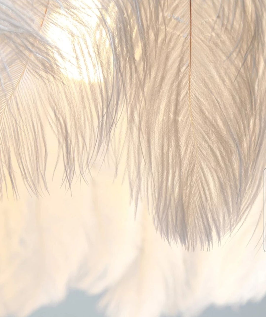 Lampa sufitowa z piórami  boho APP662 Złota