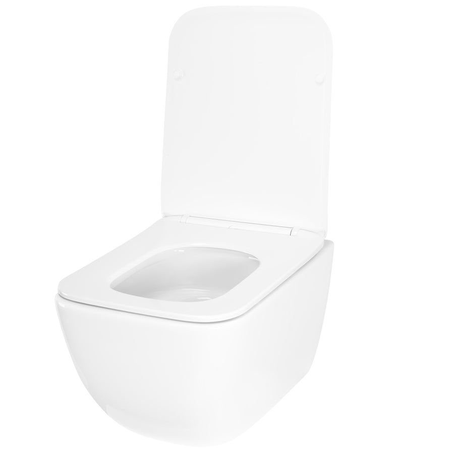 Misa WC podwieszana Rea Dexter Tornado  5