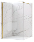 Kabina Prysznicowa Walk-in Rea Flexi Transparent / Brush Gold 130  1