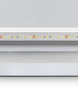 LUSTRO ŚCIENNE LED 80x60cm P10407  8