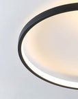 Lampa Sufitowa Lhj077-c 50 Cm Led  3